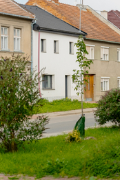Prodej domu 278 m², Prostějovičky
