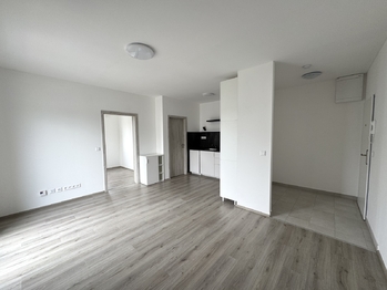obývací pokoj s kuchyňským koutem - Pronájem bytu 2+kk v osobním vlastnictví 38 m², Zbůch