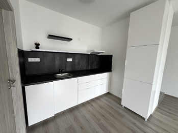 kuchyně - Pronájem bytu 2+kk v osobním vlastnictví 38 m², Zbůch