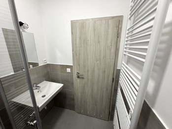 koupelna - Pronájem bytu 2+kk v osobním vlastnictví 38 m², Zbůch