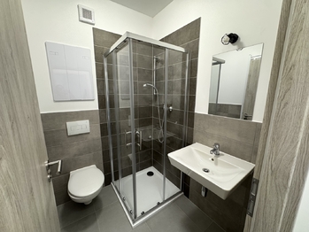 koupelna - Pronájem bytu 2+kk v osobním vlastnictví 38 m², Zbůch