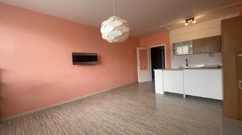 Pronájem bytu 1+kk v družstevním vlastnictví 33 m², Orlová