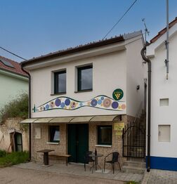 Pronájem apartmánu 64 m², Bořetice