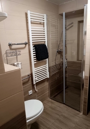 Pronájem apartmánu 64 m², Bořetice