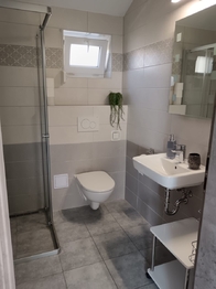 Pronájem apartmánu 64 m², Bořetice