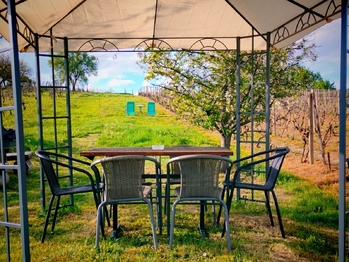 Pronájem apartmánu 64 m², Bořetice
