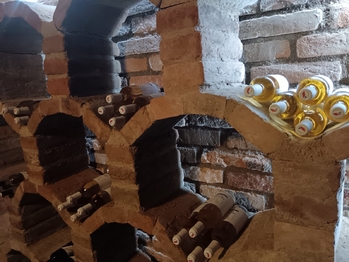 Pronájem apartmánu 64 m², Bořetice