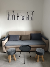 Pronájem apartmánu 64 m², Bořetice