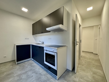 Pronájem bytu 2+1 v osobním vlastnictví 54 m², Ústí nad Labem
