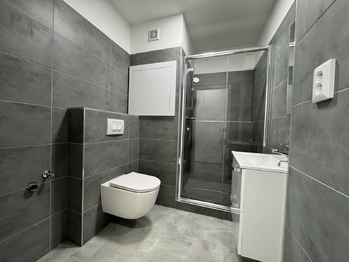 Pronájem bytu 2+1 v osobním vlastnictví 54 m², Ústí nad Labem