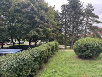 zeleň v okolí domu - Pronájem bytu 2+kk v osobním vlastnictví 44 m², Praha 10 - Horní Měcholupy