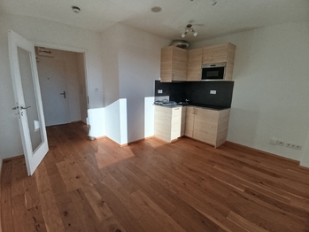 Pronájem bytu 1+kk v osobním vlastnictví 26 m², Praha 2 - Vinohrady