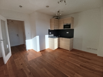 Pronájem bytu 1+kk v osobním vlastnictví 26 m², Praha 2 - Vinohrady