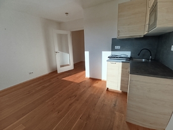 Pronájem bytu 1+kk v osobním vlastnictví 26 m², Praha 2 - Vinohrady