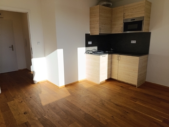 Pronájem bytu 1+kk v osobním vlastnictví 26 m², Praha 2 - Vinohrady