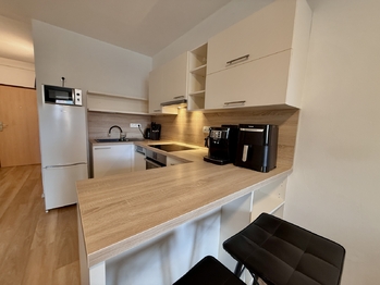 Pronájem bytu 1+kk v družstevním vlastnictví 31 m², České Budějovice