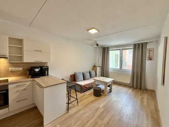 Pronájem bytu 1+kk v družstevním vlastnictví 31 m², České Budějovice