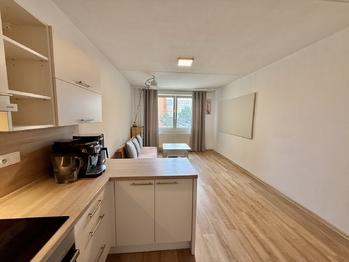 Pronájem bytu 1+kk v družstevním vlastnictví 31 m², České Budějovice