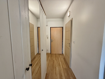 Pronájem bytu 1+kk v družstevním vlastnictví 31 m², České Budějovice