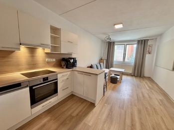 Pronájem bytu 1+kk v družstevním vlastnictví 31 m², České Budějovice