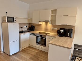 Pronájem bytu 1+kk v družstevním vlastnictví 31 m², České Budějovice