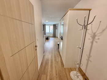 Pronájem bytu 1+kk v družstevním vlastnictví 31 m², České Budějovice