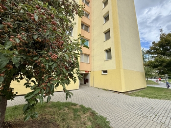 Pronájem bytu 1+kk v družstevním vlastnictví 31 m², České Budějovice