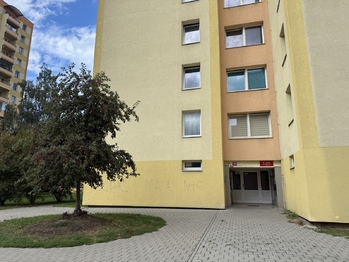 Pronájem bytu 1+kk v družstevním vlastnictví 31 m², České Budějovice