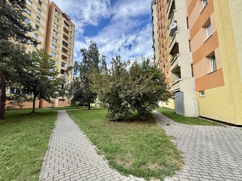 Pronájem bytu 1+kk v družstevním vlastnictví 31 m², České Budějovice