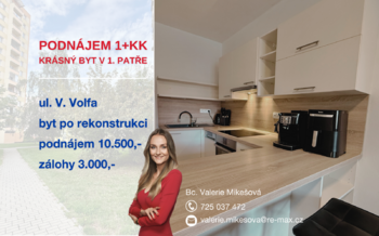 Pronájem bytu 1+kk v družstevním vlastnictví 31 m², České Budějovice