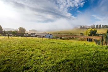 Prodej pozemku 910 m², Dobev