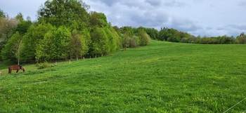 Prodej pozemku 11072 m², Rožnov pod Radhoštěm