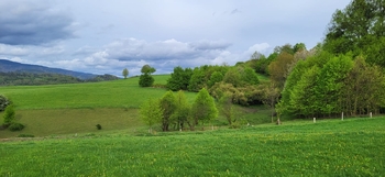 Prodej pozemku 11072 m², Rožnov pod Radhoštěm