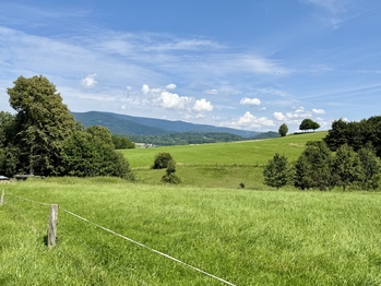 Prodej pozemku 11072 m², Rožnov pod Radhoštěm