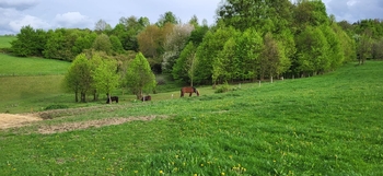 Prodej pozemku 11072 m², Rožnov pod Radhoštěm