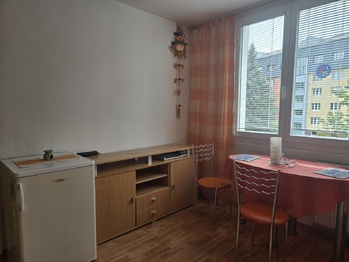 Pronájem bytu 1+1 v osobním vlastnictví 46 m², Karlovy Vary