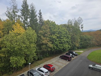 Pronájem bytu 1+1 v osobním vlastnictví 46 m², Karlovy Vary