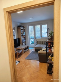 Pronájem bytu 2+1 v osobním vlastnictví 53 m², Brno
