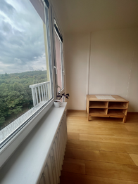 Pronájem bytu 2+kk v osobním vlastnictví 46 m², Praha 8 - Kobylisy