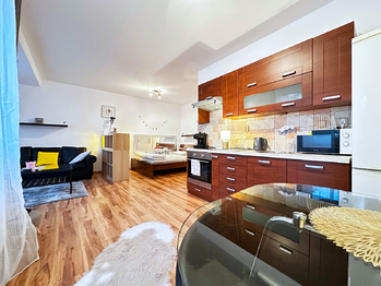 Pronájem bytu 1+kk v osobním vlastnictví 41 m², Klecany