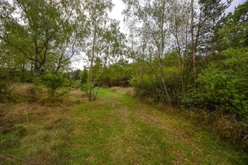 Prodej pozemku 938 m², Jílové u Prahy