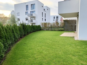 Zahrada - Pronájem bytu 3+kk v osobním vlastnictví 68 m², Praha 8 - Libeň