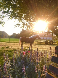 Prodej zemědělského objektu 300 m², Uhelná Příbram