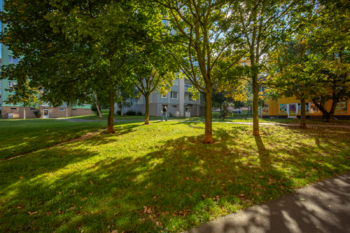 Prodej bytu 3+1 v osobním vlastnictví 60 m², Most