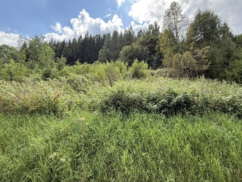 Prodej pozemku 902 m², Radvanice