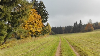 Prodej pozemku 902 m², Radvanice