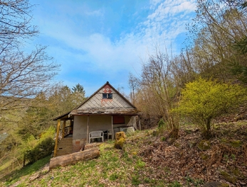 Prodej chaty / chalupy 34 m², Nižbor