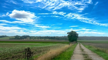 Prodej chaty / chalupy 100 m², Cítov