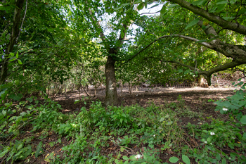 Prodej pozemku 1559 m², Rybniště