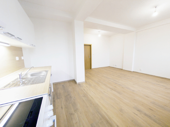 Pronájem bytu 3+kk v družstevním vlastnictví 59 m², Havířov